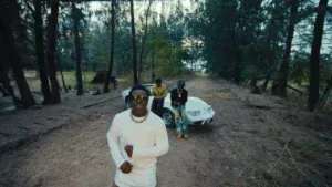 Famous Pluto - EWO (Video) ft. ZerryDL & Shallipopi