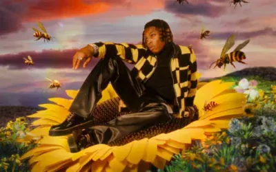 Rybeena - Mr Bee (Album)